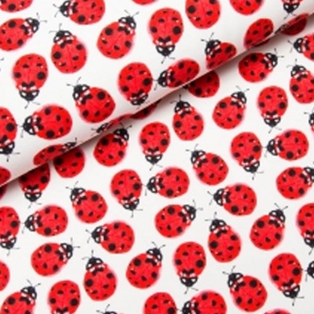 Tissu imprimé coccinelles